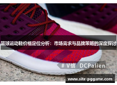 篮球运动鞋价格定位分析：市场需求与品牌策略的深度探讨