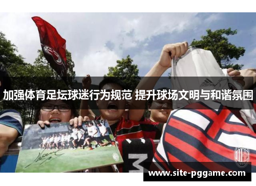 加强体育足坛球迷行为规范 提升球场文明与和谐氛围