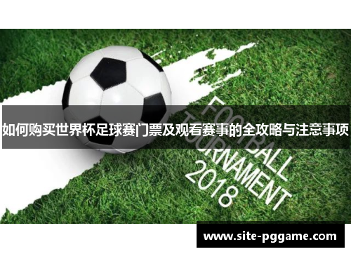 如何购买世界杯足球赛门票及观看赛事的全攻略与注意事项