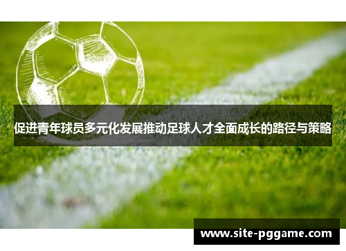 促进青年球员多元化发展推动足球人才全面成长的路径与策略