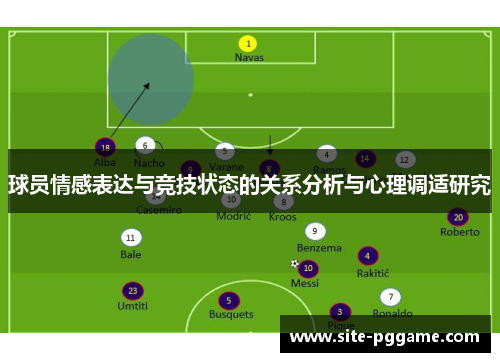 球员情感表达与竞技状态的关系分析与心理调适研究
