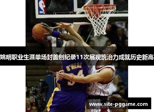 姚明职业生涯单场封盖创纪录11次展现统治力成就历史新高