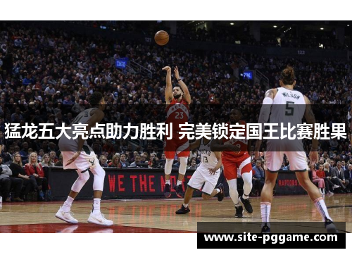 猛龙五大亮点助力胜利 完美锁定国王比赛胜果