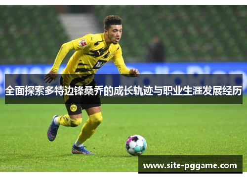 全面探索多特边锋桑乔的成长轨迹与职业生涯发展经历