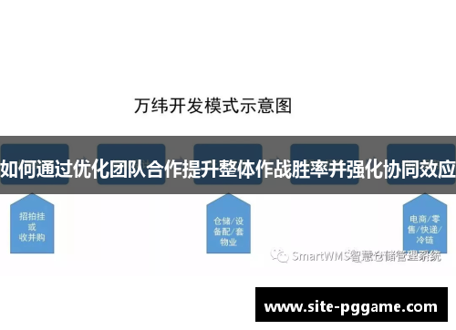 如何通过优化团队合作提升整体作战胜率并强化协同效应