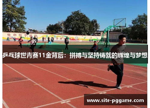 乒乓球世青赛11金背后:拼搏与坚持铸就的辉煌与梦想