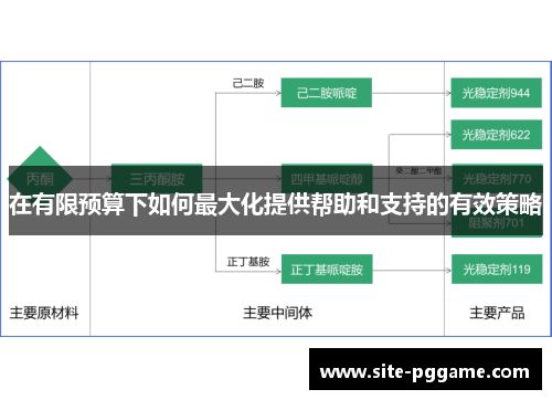 在有限预算下如何最大化提供帮助和支持的有效策略