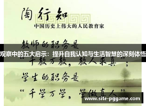 观察中的五大启示:提升自我认知与生活智慧的深刻体悟