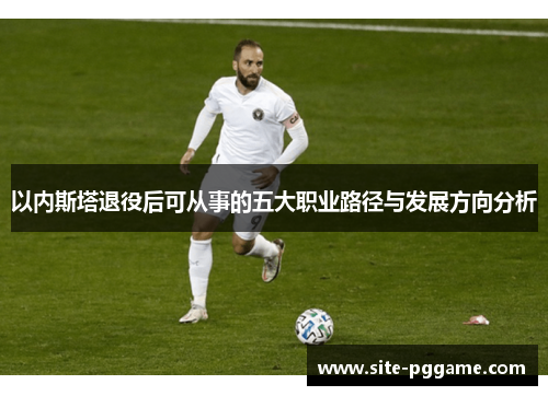 以内斯塔退役后可从事的五大职业路径与发展方向分析